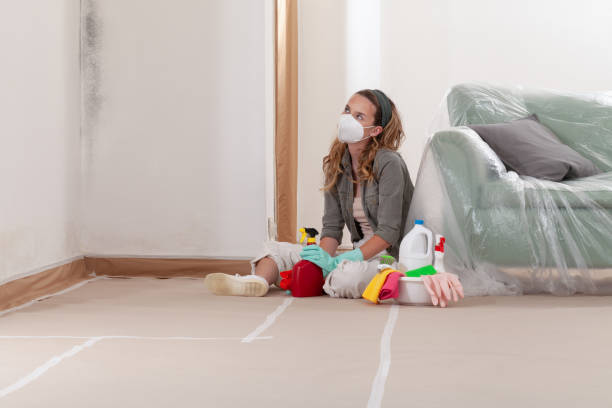 Reliable Black Mold Remediation contractor in Ridge, MD by 24 Hour Mold Removal